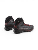 Aequilibrium Hike Gtx escursionismo